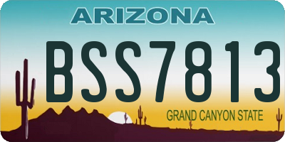 AZ license plate BSS7813