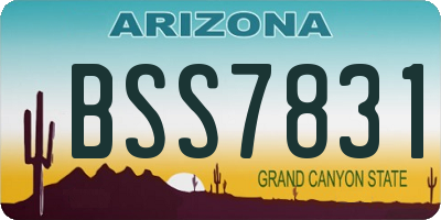 AZ license plate BSS7831