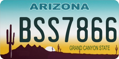 AZ license plate BSS7866