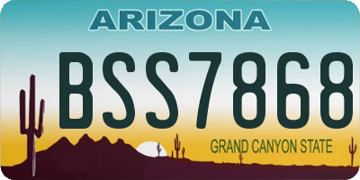 AZ license plate BSS7868