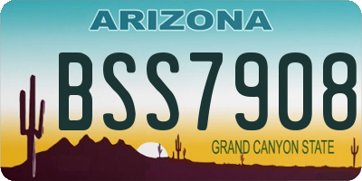 AZ license plate BSS7908