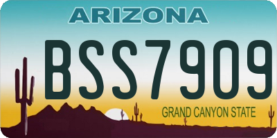 AZ license plate BSS7909