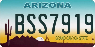 AZ license plate BSS7919