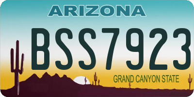 AZ license plate BSS7923