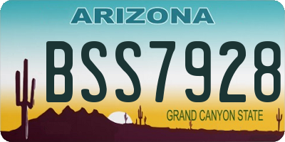 AZ license plate BSS7928