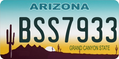 AZ license plate BSS7933