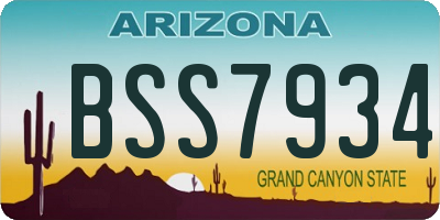 AZ license plate BSS7934