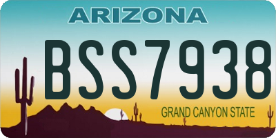 AZ license plate BSS7938