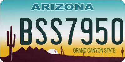 AZ license plate BSS7950