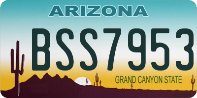 AZ license plate BSS7953