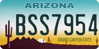 AZ license plate BSS7954