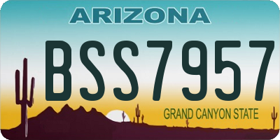 AZ license plate BSS7957