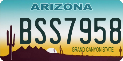 AZ license plate BSS7958