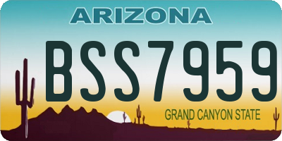 AZ license plate BSS7959