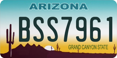 AZ license plate BSS7961