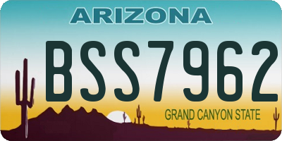 AZ license plate BSS7962