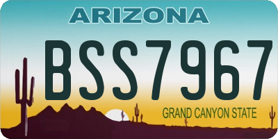 AZ license plate BSS7967