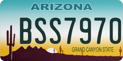 AZ license plate BSS7970