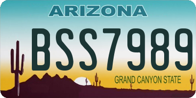 AZ license plate BSS7989