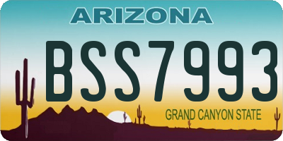 AZ license plate BSS7993