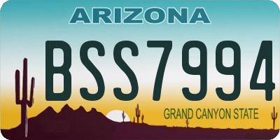 AZ license plate BSS7994