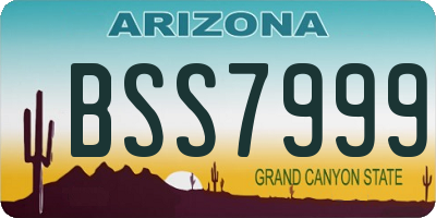 AZ license plate BSS7999