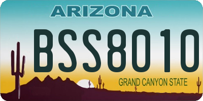 AZ license plate BSS8010