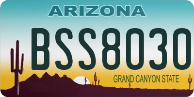 AZ license plate BSS8030