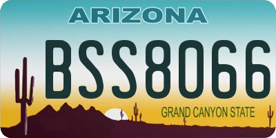 AZ license plate BSS8066