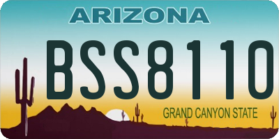 AZ license plate BSS8110