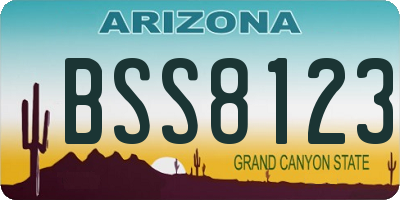 AZ license plate BSS8123