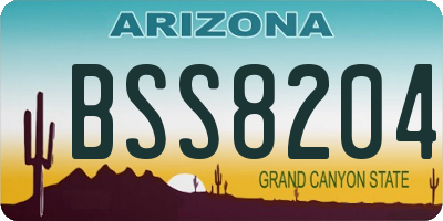 AZ license plate BSS8204