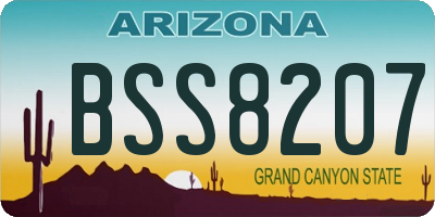 AZ license plate BSS8207