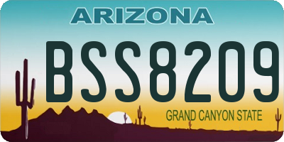 AZ license plate BSS8209