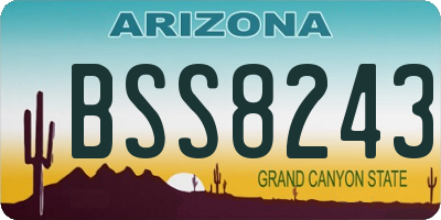 AZ license plate BSS8243