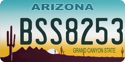 AZ license plate BSS8253