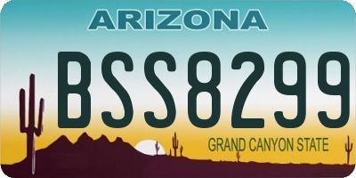 AZ license plate BSS8299