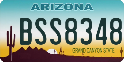 AZ license plate BSS8348