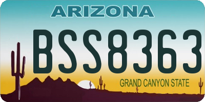 AZ license plate BSS8363