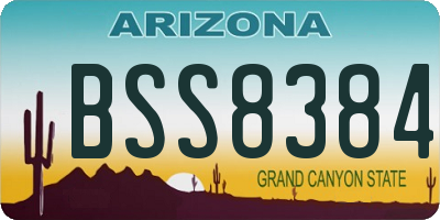 AZ license plate BSS8384