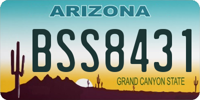 AZ license plate BSS8431