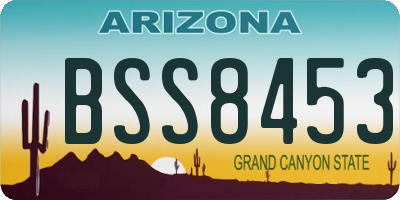 AZ license plate BSS8453