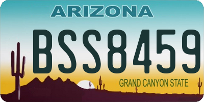 AZ license plate BSS8459