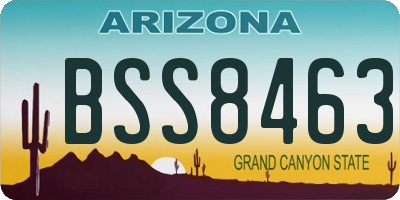 AZ license plate BSS8463