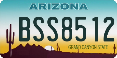 AZ license plate BSS8512