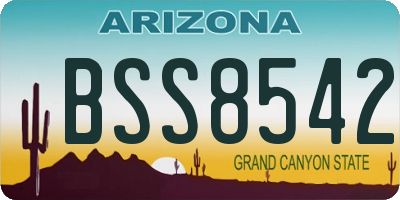 AZ license plate BSS8542