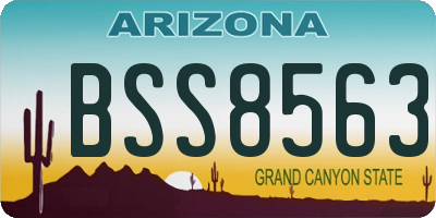 AZ license plate BSS8563