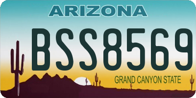 AZ license plate BSS8569