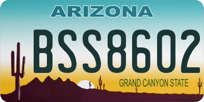 AZ license plate BSS8602