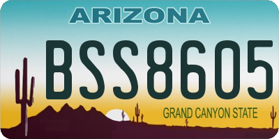 AZ license plate BSS8605